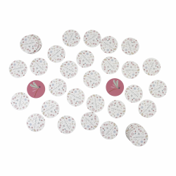 LD4758_Pexeso kvety a motyle Little Dutch_04